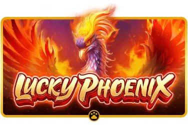 k9win Live Casino trực tuyến