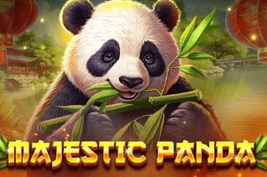 k9win app trải nghiệm di động